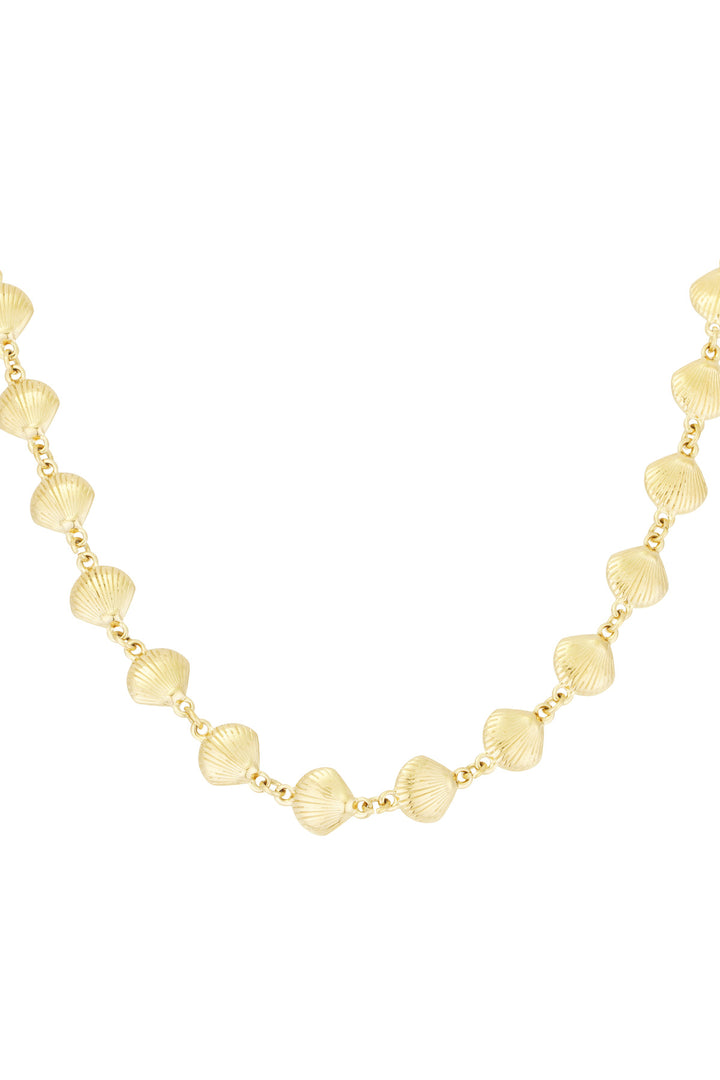 necklace shell trio